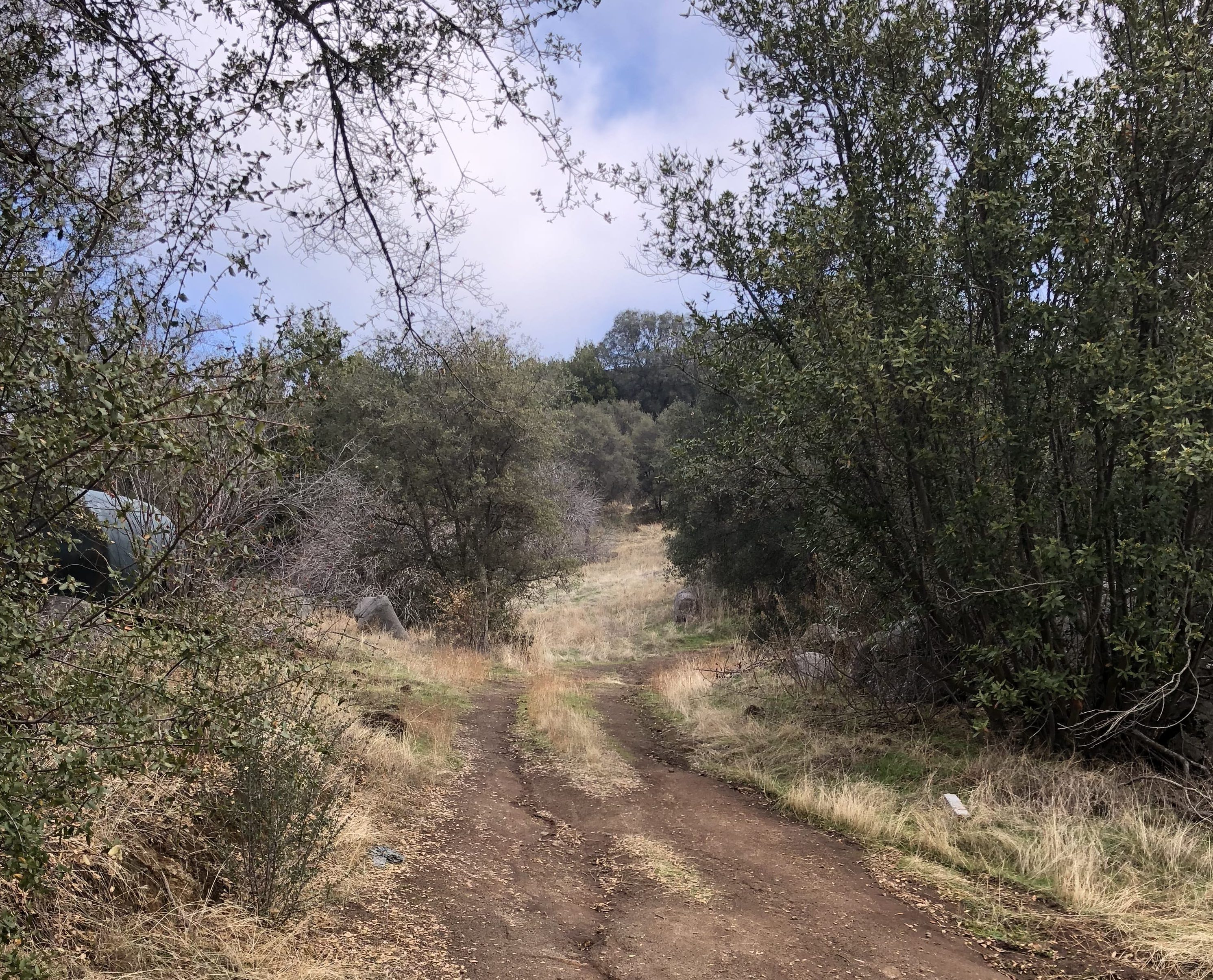 Driveway (1)