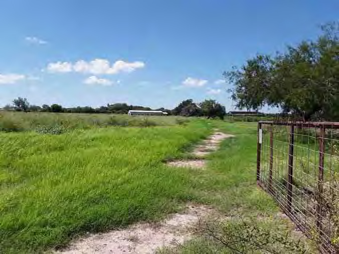 DoffingRoad Front