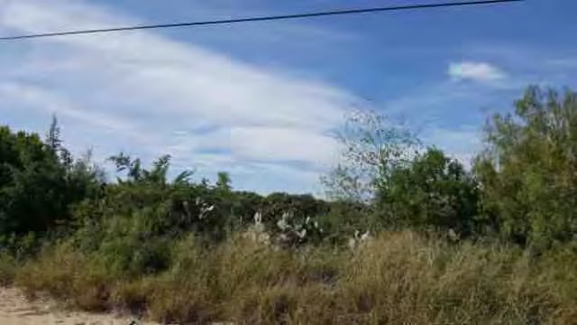 Lot21AbramsRoad Land