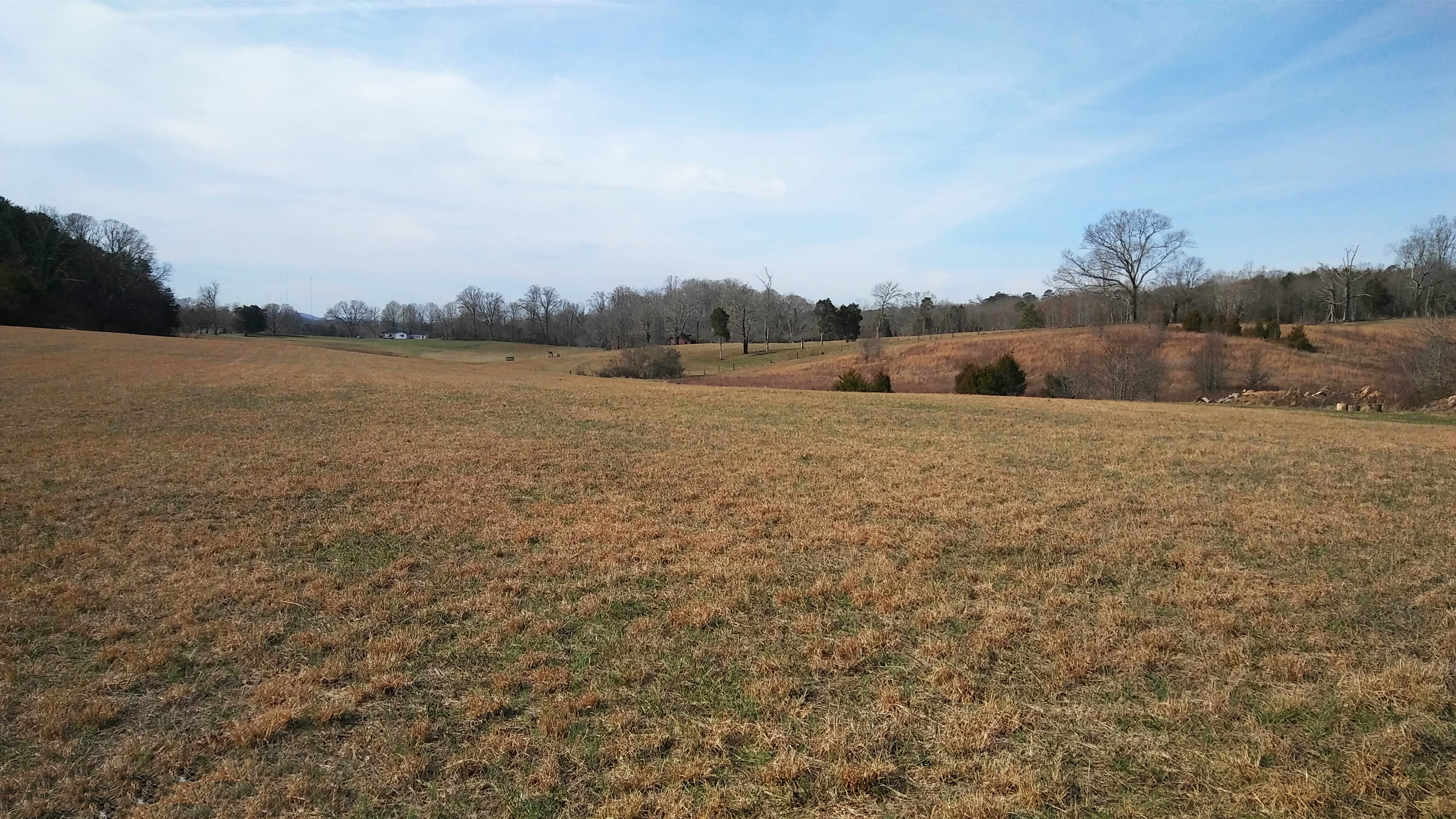JonesRoad Land1
