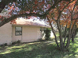 Dodsonave01