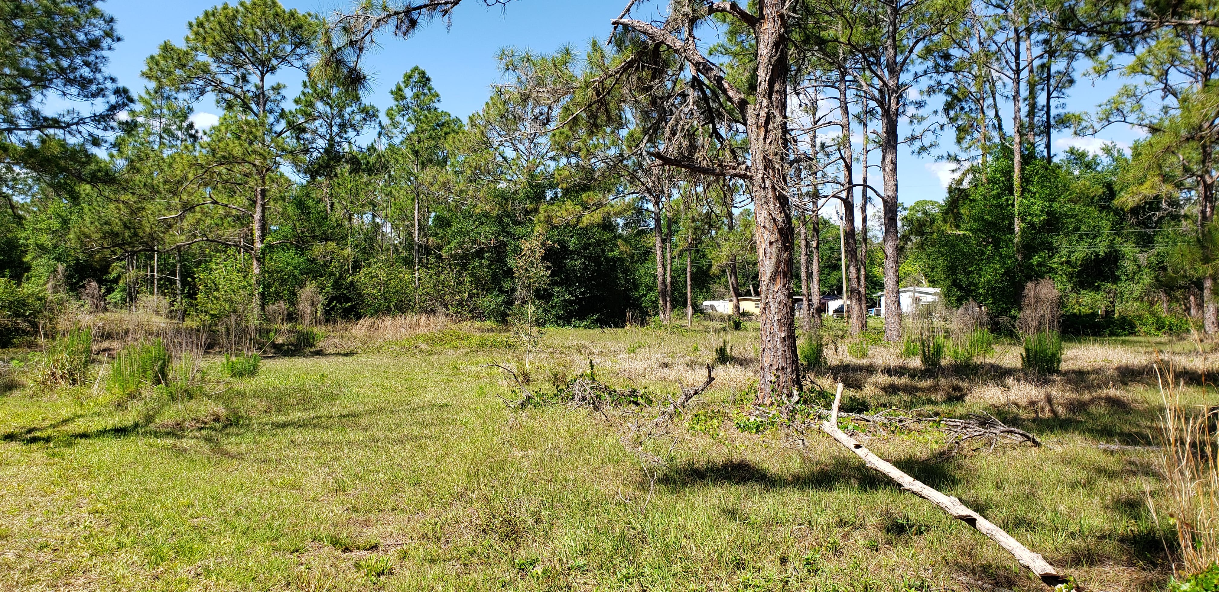 Pioneer Rd April 2019 (3)
