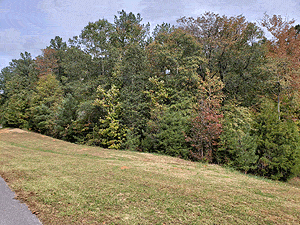 Rockhill01