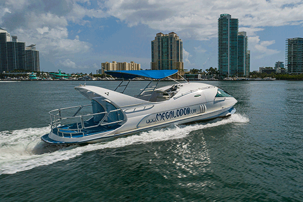 Hydrofoil