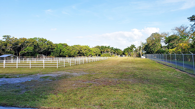 Main Landing