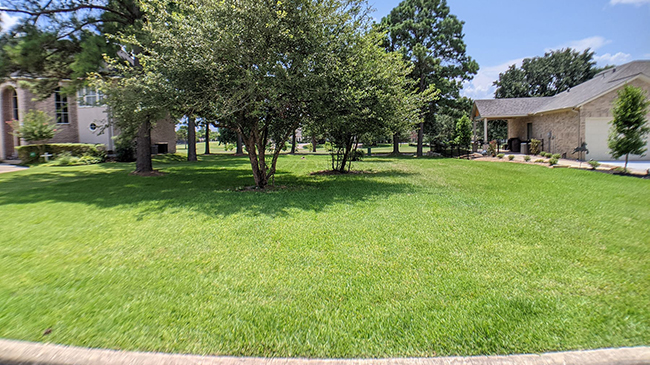 Southwind Front Main