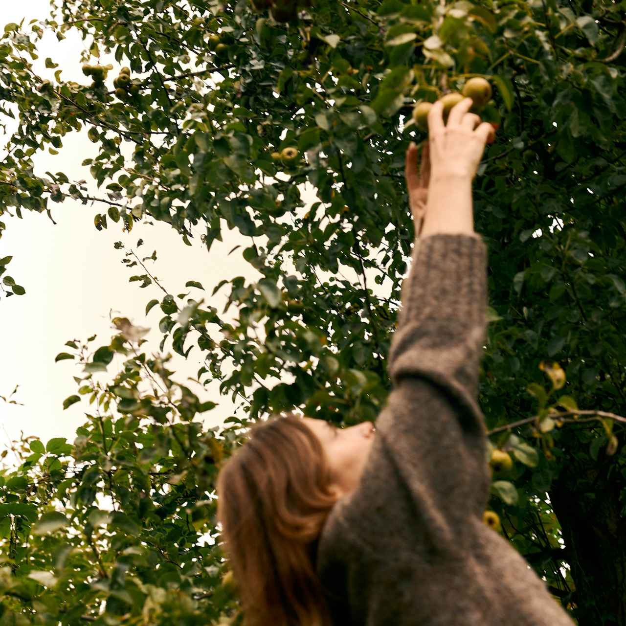 Feels Like Fall