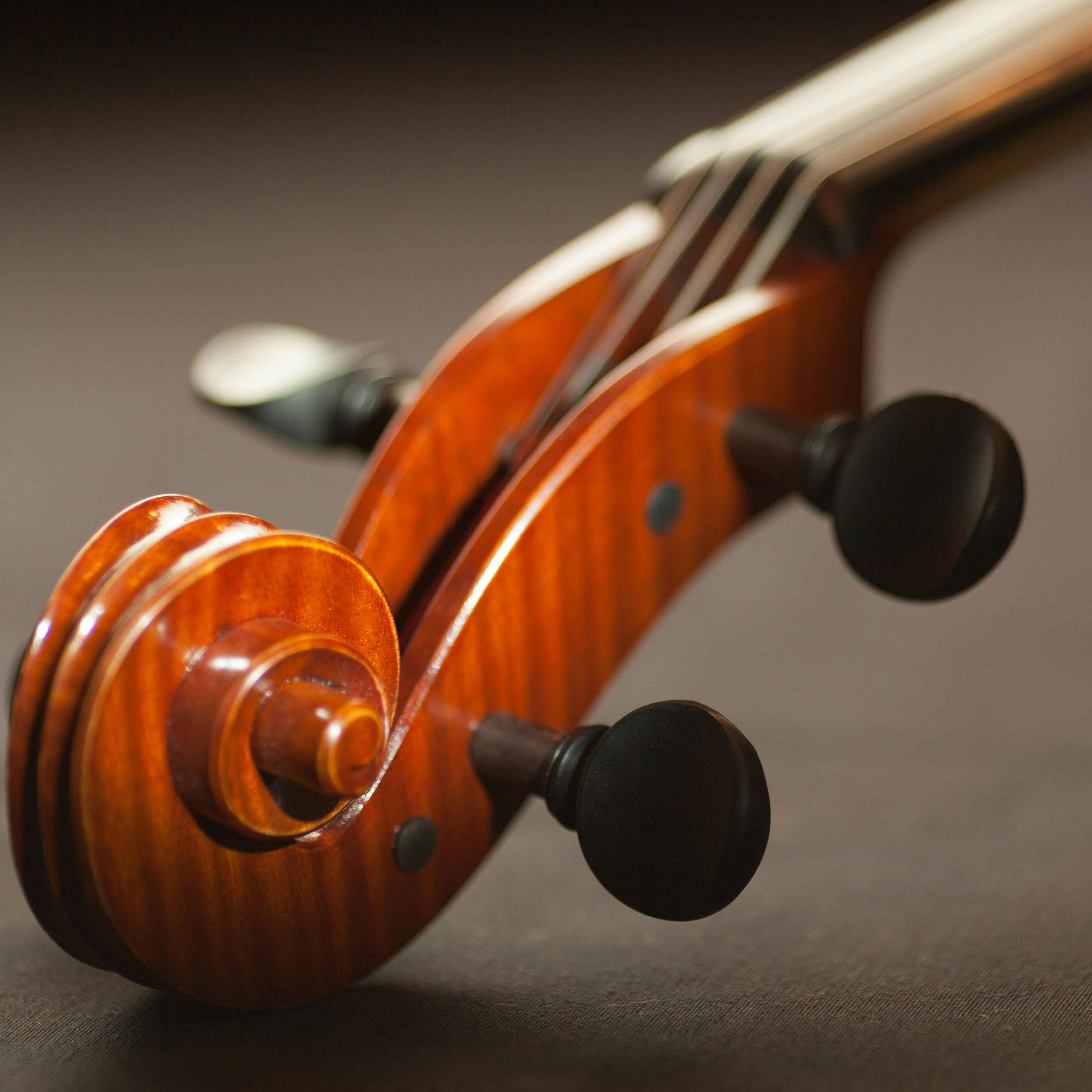 Modern Contemporary & Classical