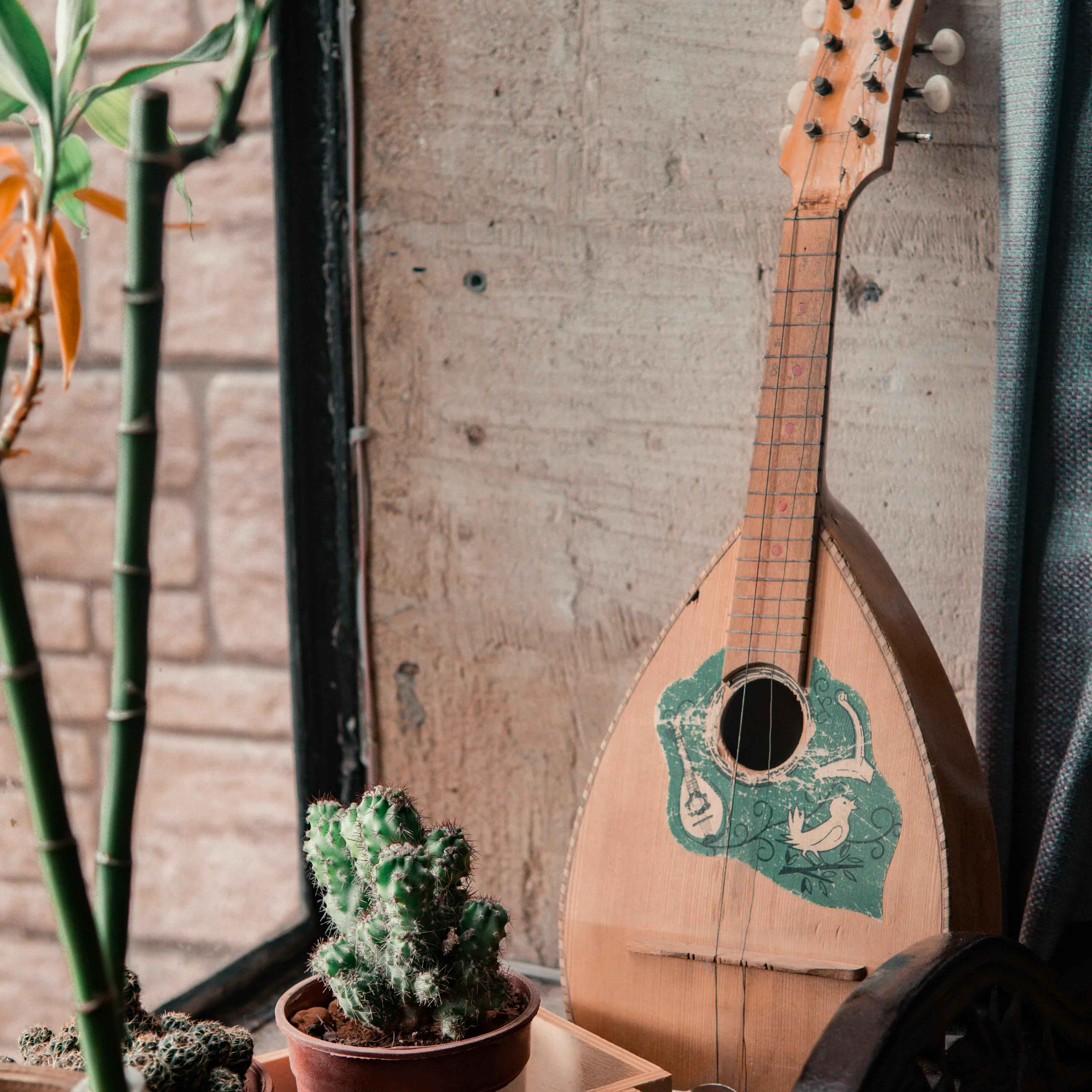 Bluegrass