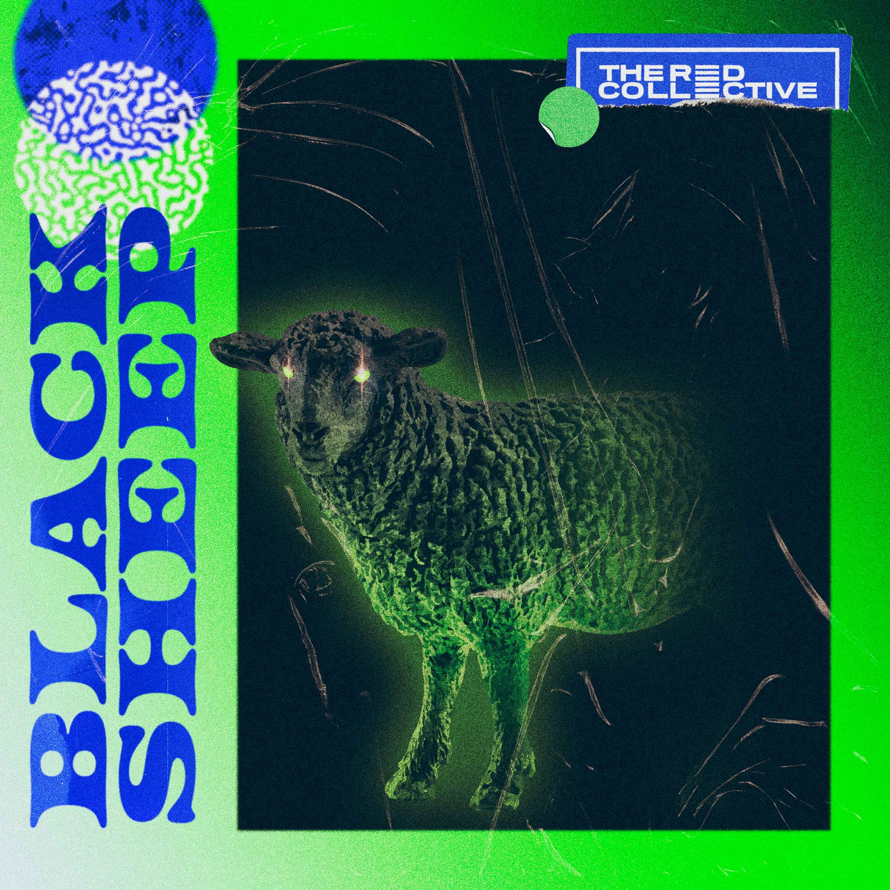 Black Sheep (hip hop for the hustle)