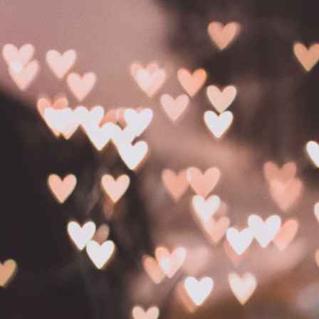 Love Is All We Need