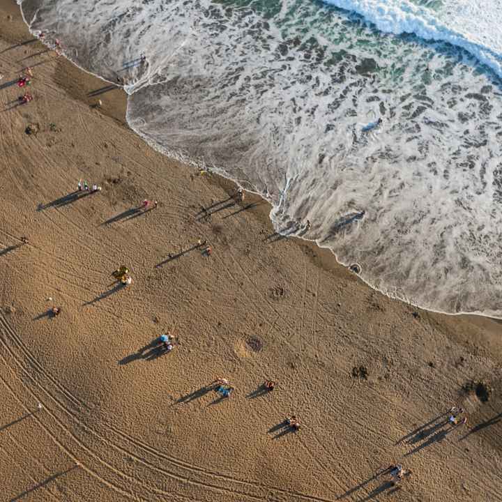 Aerial Drone Score