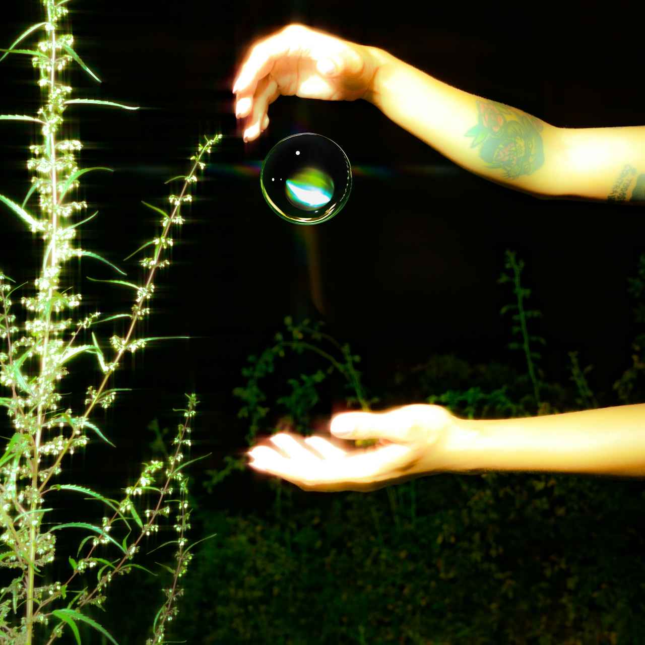 Imagination