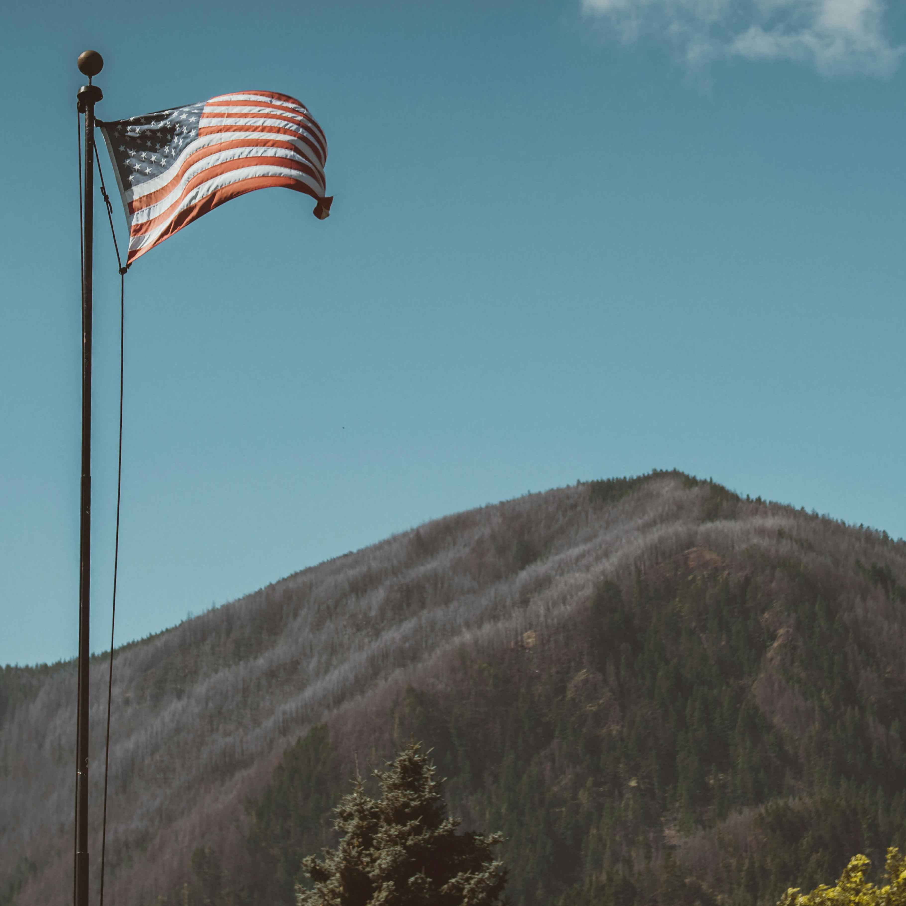 Independence Day
