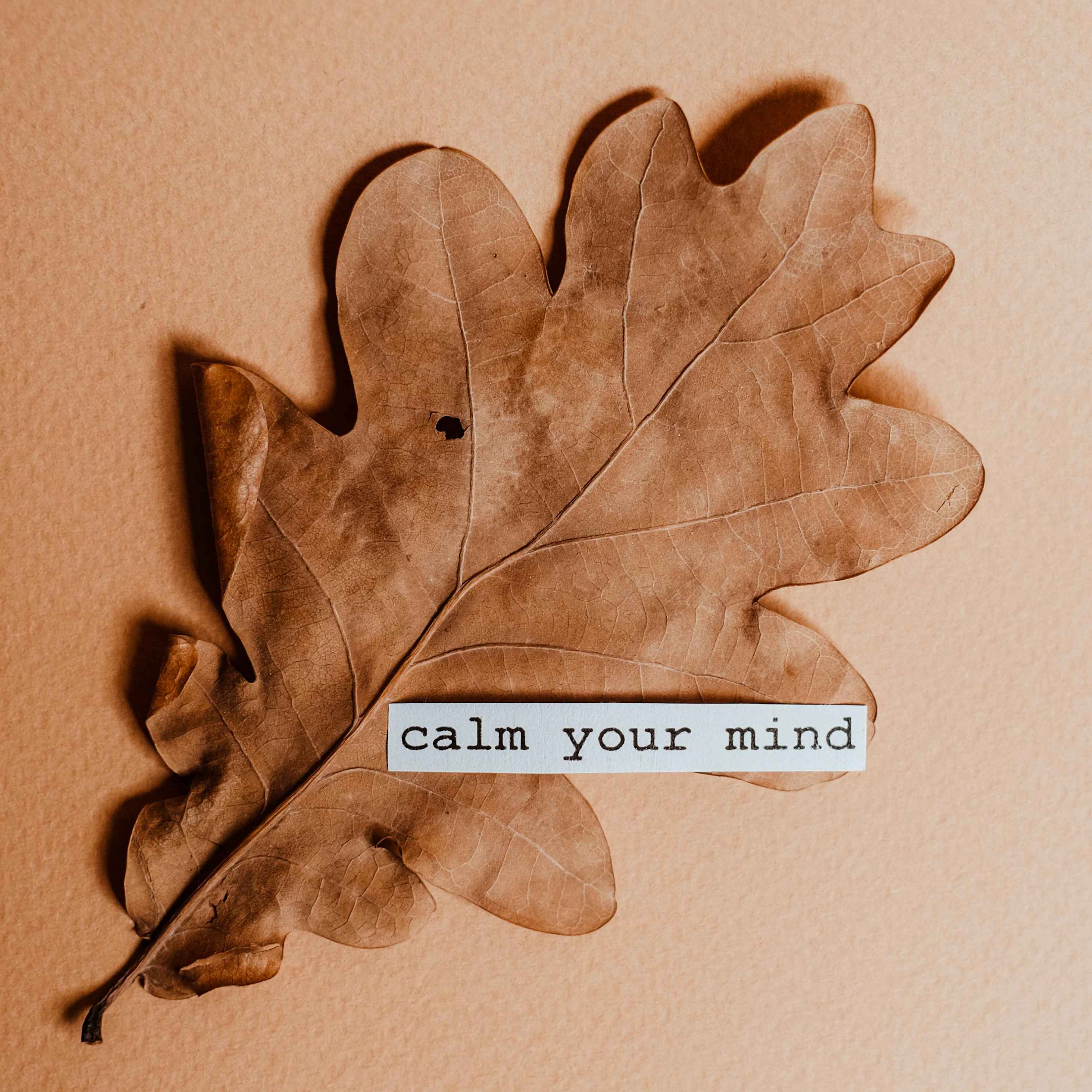 Mental Health Awareness