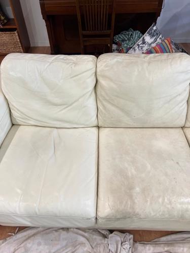 Bethel Carpet Cleaning