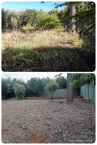 Champion Property Services