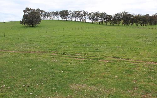 Holman Tolmie Pty Ltd