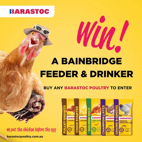 Mega Merch Rural & Pet