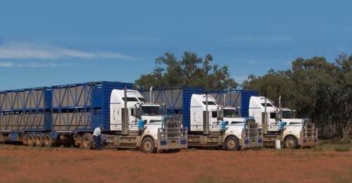 Whiteleyâ€™s Livestock Transport Pty Ltd