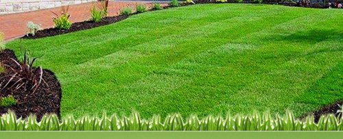 A View Turf