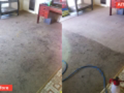Stainbusters carpet cleaning and Pest Control Central West