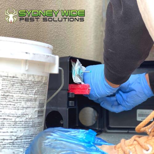 Sydney Wide Pest Solutions