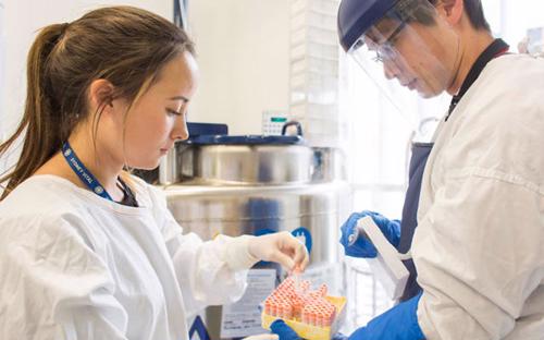 Bill Walsh Translational Cancer Research