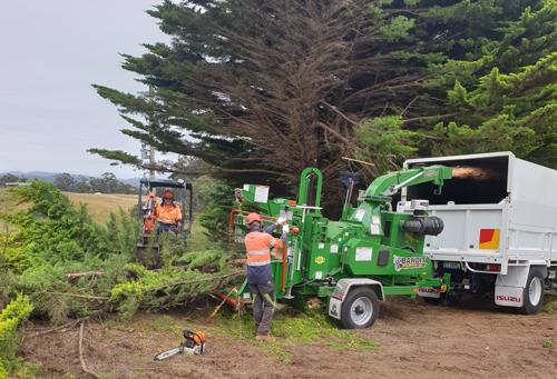 A1 Tree Specialists
