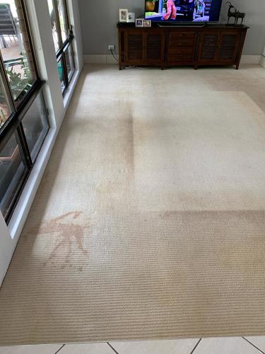 Abbott Cleaning Service