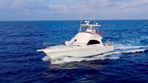 All The Gear No Idea Sportfishing