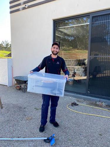 Sydney Snakes and Wildlife Removal