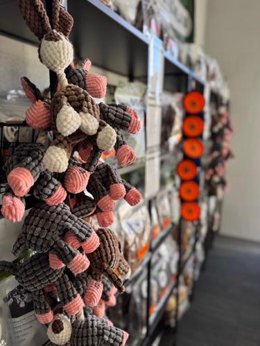 Ground Floor Dog Treats