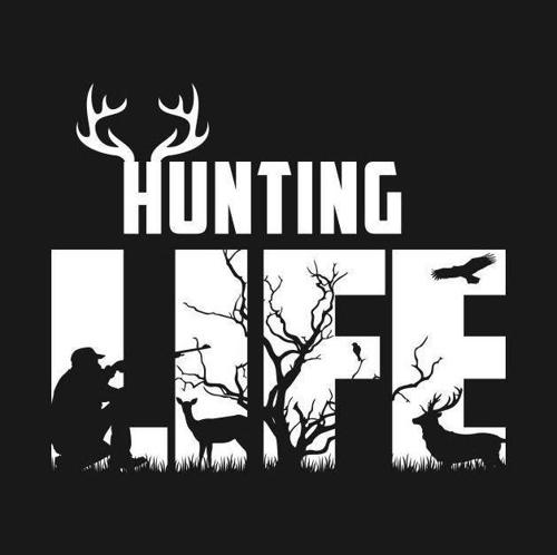 Kingfisher Hunting and Outdoors