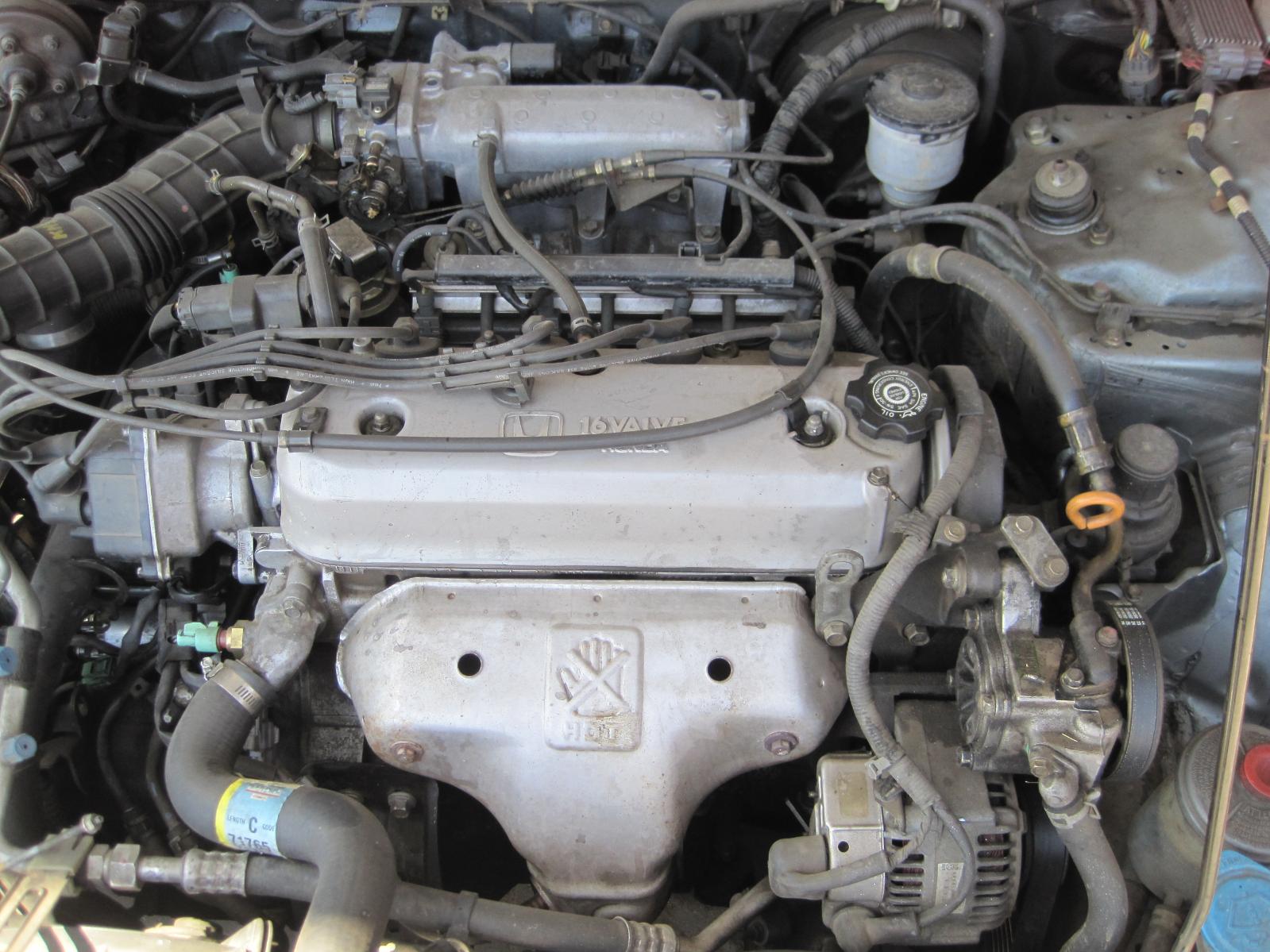 Stunning 1996 Honda Accord Lx Engine Photos