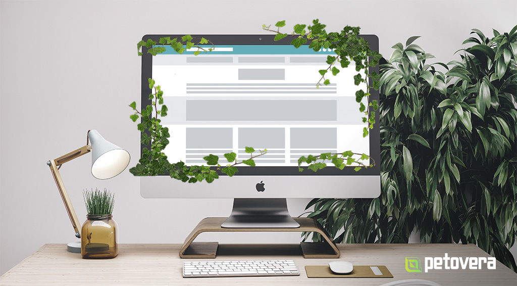 header_evergreen_generic.jpg