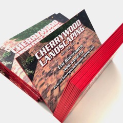 Painted Edge Cards