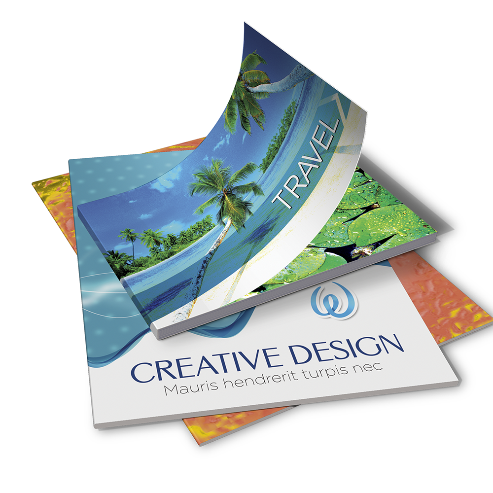 8.5" X 5.5" -12 Page Saddle Stitch (8 Inside pages 4:4 plus 4