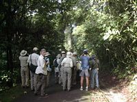 On the entrance road