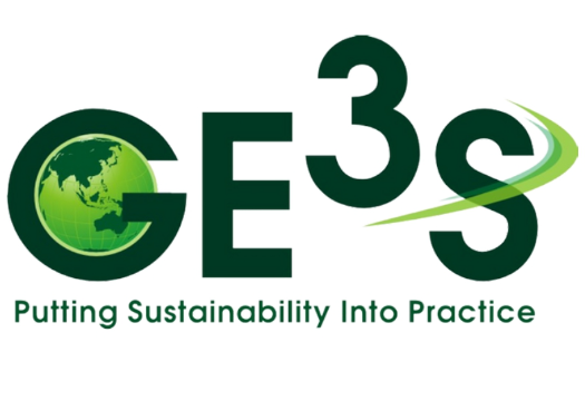 GE3S Environmental Consultants