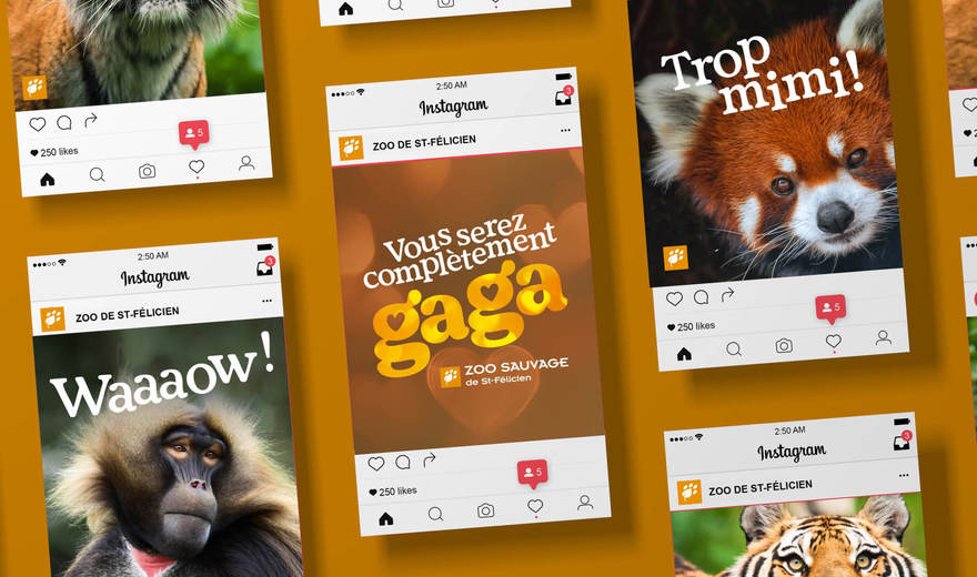 Zoo Sauvage de Saint-Félicien — Stratégie marketing, design + 