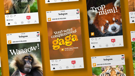 Zoo Sauvage de Saint-Félicien — Stratégie marketing, design + 