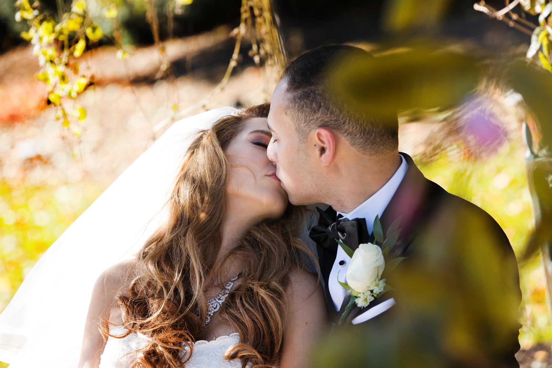 Nada and Amro Wedding Photos