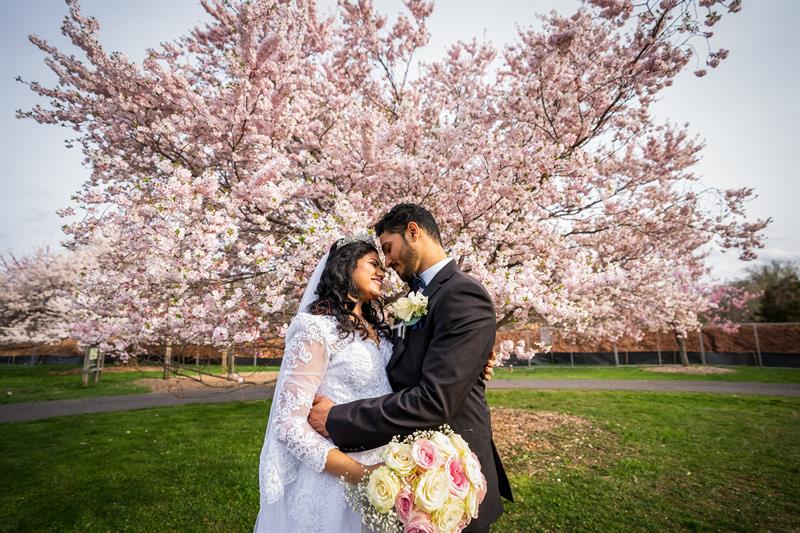 deewan-banquet-piscataway-nj-wedding-photography-alex-soumya3836621.jpg