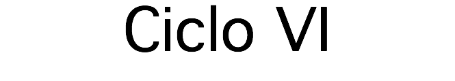 Ciclo VI
