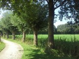 Ook de Achterhoek is mooi
