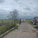 1000029924