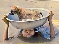 IMG-20231127-WA0027