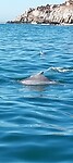 20250514_102153_resized