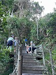 IMG-20250513-WA0028